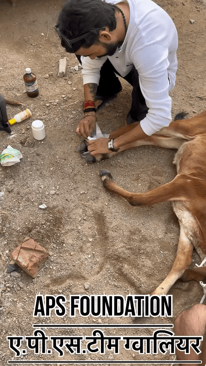 🙏 गौसेवा ही सच्ची सेवा है! 🐄❤️
#apsgurjar #viral #gwalior