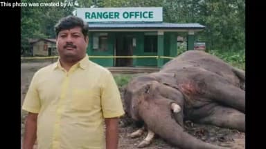 ବାଲିଗୁଡା: ବେଲଘର ରେ ହାତି ମରିବା ଘଟଣା DFO ଙ୍କ ପ୍ରେସ୍ ନୋଟ୍