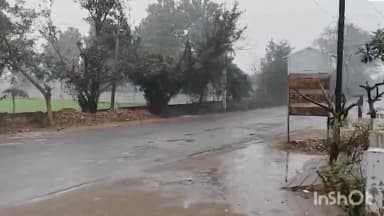 गाज़ियाबाद: जिले में बारिश से मौसम हुआ सुहाना, तेज हवाओं के साथ बेमौसम बारिश से बढ़ी सर्दी, सरसों को मिला फायदा