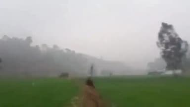 बंगाणा: उपमंडल बंगाणा में हुई बारिश से किसानों के चेहरे खिले, गेहूं की फसल को मिली संजीवनी