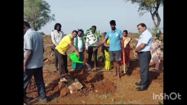 மேட்டுப்பாளையம்: குருந்தமலை குழந்தை வேலாயுத சுவாமி திருக்கோவிலில் 15 ஆயிரம் மரக்கன்றுகள் நடவு செய்யப்பட்டன