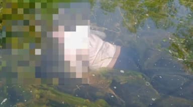 ಹೊನ್ನಾವರ: ಕಳಸಿನಮೋಟೆ ಬೇಲೆಗದ್ದೆಯಲ್ಲಿ ಅಪರಿಚಿತ ಮೃತದೇಹ ಪತ್ತೆ