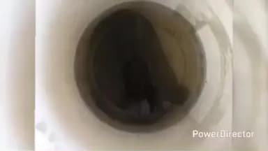 ಚಾಮರಾಜನಗರ: ಹರದನಹಳ್ಳಿ ರಸ್ತೆಯಲ್ಲಿ ಅಕ್ರಮವಾಗಿ ಆಮೆ ಸಾಗಾಟ- ಆರೋಪಿ ಬಂಧನ