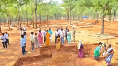 சோளிங்கர்: கரடி குப்பம் பகுதியில் காப்பு காட்டு பகுதியில் பண்ணை குட்டைகள் அமைக்கும் பணியினை மாவட்ட ஆட்சியர் சந்திரகலா ஆய்வு மேற்கொண்டார்