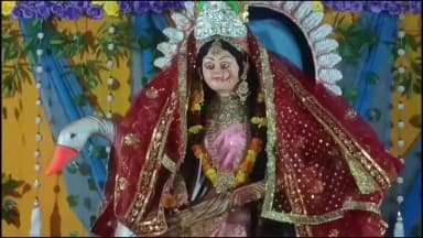 धरहरा: धरहरा प्रखंड में धूमधाम से मनाई जा रही सरस्वती पूजा, गांव-गांव में उत्सव का माहौल