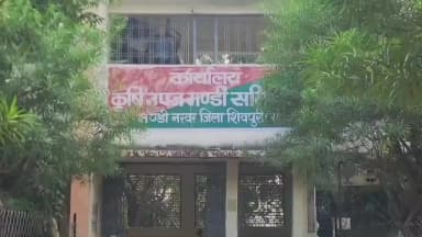 नरवर: नरवर मगरोनी कृषि उपज मंडी में फसलों की आवक जारी, धान ₹3300 व मूंगफली ₹6400 प्रति क्विंटल