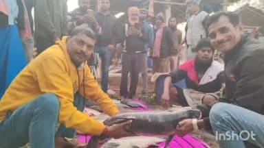 हिरणपुर: सिजानो पर्व पर हिरणपुर में शीतल षष्टी मां की पूजा, उमड़ा श्रद्धा और परंपरा का सैलाब