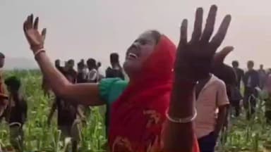 बैसि: रातों-रात मक्का फसल की तबाही, एक एकड़ में खड़ी फसल काटकर गिराई गई