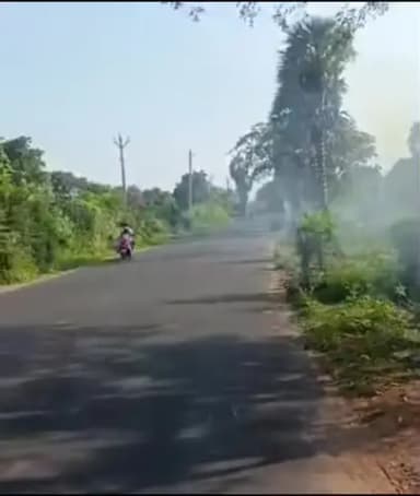 அச்சன்புதூரில் இருந்து இலத்தூர் செல்லும் மெயின் ரோட்டின் ஓரங்களில் அப்பகுதியை சேர்ந்த சிலர் குப்பைகளை கொட்டி எரித்து வருகின்றனர்