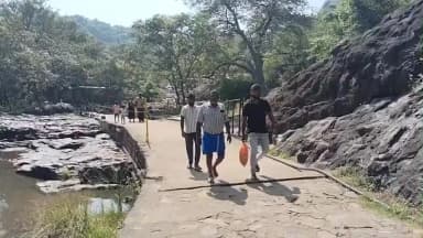 அம்பாசமுத்திரம்: அகஸ்தியர் அருவி ,மணிமுத்தாறு அருவியில் சுற்றுலா பயணிகள் குளிக்க அனுமதி. வனத்துறை அறிவிப்பு.