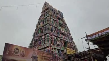 செய்யாறு: வேதபுரீஸ்வரர் கோவிலில் அறுபத்தி மூன்று நாயன்மார்கள் திருவீதி உலா நடைபெற்றது.