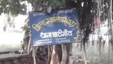 घाटीगांव: घाटीगांव में तेज रफ्तार ट्रैक्टर ने पिकअप को मारी टक्कर, एक की मौत, एक गंभीर घायल