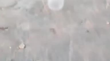 पथरिया: सिद्ध पहाड़ी गायत्री शक्ति पीठ पर शराबियों ने सीढ़ियां क्षतिग्रस्त की, आस्था से खिलवाड़, शराब की बोतलों का वीडियो वायरल