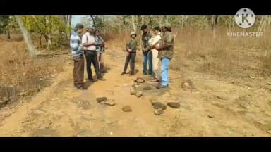 జన్నారం: జన్నారం అటవీలో కొనసాగుతున్న వన్యప్రాణాల లెక్కింపు