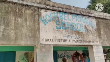 নিতুড়িয়া: নিতুড়িয়ার কচবেল গ্রামের কচবেল প্রাইমারি স্কুলে স্বরস্বতী পুজো না করায় ক্ষোভ,বিজেপির উদ্যোগে পুজোর আয়োজন