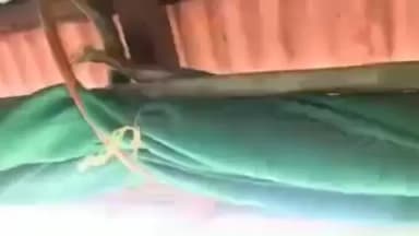 लोणार: शारा येथे घराच्या पहिल्या मजल्यावर सर्पमित्रांनी भल्या मोठ्या सापाला केले रेस्क्यू