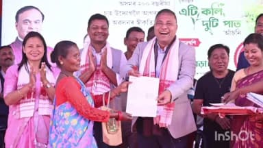 টিংখং: টিংখাঙত এটি কলি দুটি পাত আঁচনি শুভাৰম্ভ কৰিলে মন্ত্ৰী বিমল বৰাই