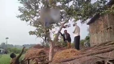 तामिया: बंधीढ़ाना में अशोक का शव पेड़ से लटका मिला, इलाके में हड़कंप, पुलिस जांच में जुटी