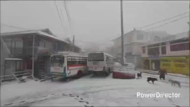 हरिपुरधार: बर्फबारी के बाद सिरमौर के ऊपरी इलाकों में यातायात सेवाएं पूरी तरह प्रभावित, निर्धारित स्थानों तक नहीं पहुंच पा रही है HR