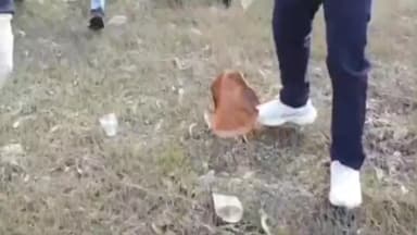 चंदवारा: राष्ट्रीय पर्यटन दिवस पर तिलैया डैम में स्वच्छता एवं जागरूकता अभियान, पर्यटन स्थलों के संरक्षण का संदेश