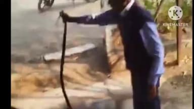 वरला: सेंधवा में पुलिस लाइन के पास 7 फीट लंबा घोड़ा पछाड़ सांप निकला, रेस्क्यू कर जंगल में छोड़ा