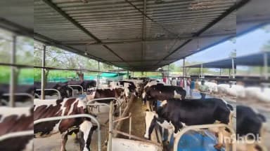 વિજાપુર: ખેરાલુ ધારાસભ્ય સરદારભાઈ ચૌધરીએ પામોલ ગામે સામાજીક આગેવાનોની મુલાકાત લીધી