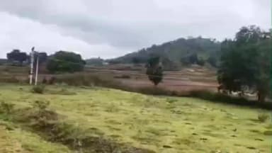 தேன்கனிகோட்டை: கல்லுப்பள்ளியில் யானை தாக்கி வனக்காப்பாளர் படுகாயம்: காயமடைந்தவர் கிருஷ்ணகிரி அரசு மருத்துவக்கல்லூரி மருத்துவமனையில் அனுமதி