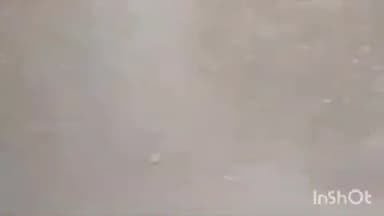 बमोरी: बमोरी क्षेत्र में आंधी के साथ बारिश और ओले गिरे, फसलों को नुकसान