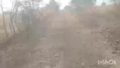 आठनेर: मातका से टाकी तक पाँच किलोमीटर का रास्ता खराब, ग्रामीणों ने कहा- आज तक नहीं बनी पक्की सड़क