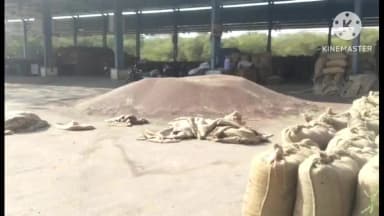 खानपुर: खानपुर कस्बे में स्थित कृषि उपज मंडी में 1145 किवंटल सरसो की हुई आवक, 7000 रुपये प्रति किवंटल रहा भाव