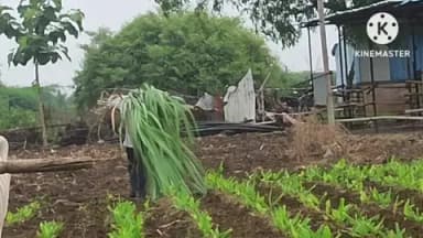 कारंजा: शुल्लक कारणावरून झाला काका पुतण्याचा वाद.. शेतात केली मारहाण.. गारपीट येथील घटना कारंजा पोलिसात गुन्हा दाखल