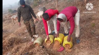 নিতুড়িয়া: অবৈধ মদ তৈরি ও বিক্রির বিরুদ্ধে নিতুড়িয়ার একাধিক গ্রামে আবগারি দফতরের অভিযান,বাজেয়াপ্ত চোলাই মদ ও তরল