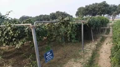 पंचदेवरी: पंचदेवरी और गोपालगंज के 20 किसान बनारस में उन्नत सब्जी उत्पादन का विशेष प्रशिक्षण ले रहे हैं