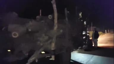 खाजूवाला: 61 हेड क्षेत्र में वन माफियाओं का तांडव, सरेआम हरे पेड़ काटे जा रहे हैं