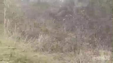 चरपोखरी: खेल मैदान के अस्तित्व को बचाने के लिए धरना प्रदर्शन छठे दिन भी जारी