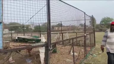 गंगधार: चौमहला में पोल्ट्री फार्म से 40 देशी मुर्गियां हुई चोरी