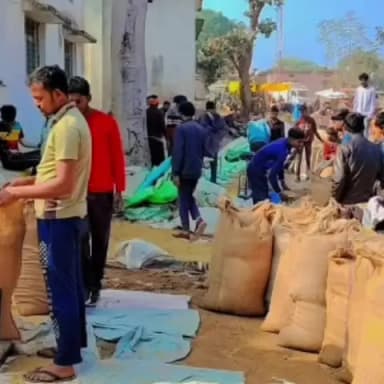 सूरजपुर में समर्थन मूल्य पर धान खरीदी तेज, 53 हजार से अधिक किसानों से 3.35 लाख मीट्रिक टन धान का उपार्जन