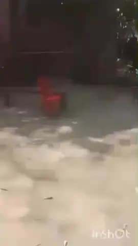 छौड़ाही: शाहपुर पंचायत में उपद्रवियों ने माता काली की प्रतिमा खंडित की, पुलिस बल तैनात