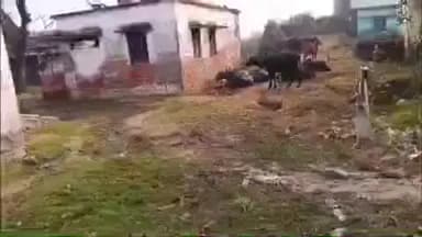 शिवसागर: कचड़े और गंदगी के बीच चल रहा शिवसागर का पशु चिकित्सालय, आने-जाने में डॉक्टर और कर्मी होते हैं परेशान