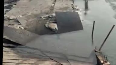 खड्डा: नारायणी नदी में जलस्तर बढ़ने से पीपा पुल का एप्रोच बहा, आवागमन हुआ ठप