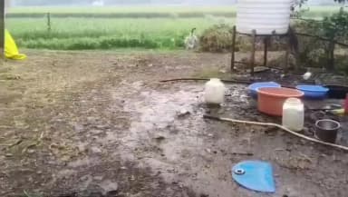 खाचरौद: बेमौसम बरसात से किसानों की बढ़ी चिंता, सोयाबीन, मटर के बाद अब गेहूं की बर्बादी, ओले गिरने की भी खबर