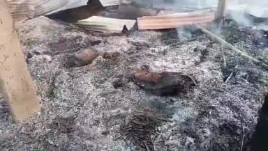 धमदाहा: पतकेलि मुनि टोला में भीषण अगलगी, सात परिवार बेघर, छह मवेशियों की जलकर हुई मौत