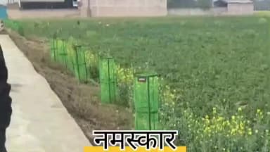 kaushambi सिराथू तहसील कमासिन चौराहा ब्रिज सर्विस रोड कौशांबी पर #हाईलाइट# h