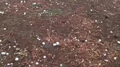 पोलायकलां: अकोदिया क्षेत्र में ओलावृष्टि के साथ बारिश, प्याज-लहसुन की फसलों को नुकसान, किसानों की चिंता बढ़ी