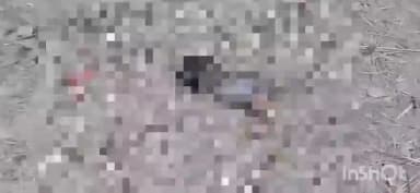 জগৎবল্লভপুর: হাওড়া জগৎবল্লভপুর এলাকায় উদ্দার সদ্যজাতশিশুর মৃতদেহ