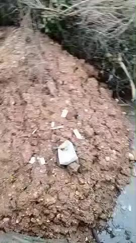 श्री बलदेव अग्रवाल
अध्यक्ष, नगर परिषद भीतरवार,
विषय: नाली के गंदे पानी की निकासी और
अवैध बाउंड्री हटाने के संबंध में