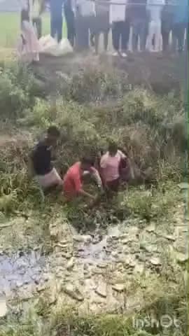 नौबतपुर: नौबतपुर पुलिस ने तीसखोरा गांव की मुसहरी से एक वृद्ध का शव बरामद किया