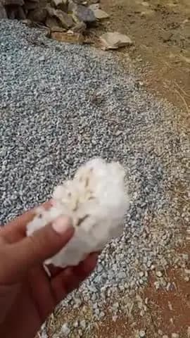 me deepak mali jila sheopur khirkhiri and khojipura ke halka me