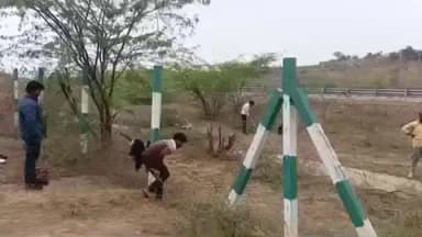 सरीला: चिकासी थाना क्षेत्र के हरदुआ गांव के पास सर्विस रोड के किनारे पेड़ों की अवैध कटाई जोरों पर