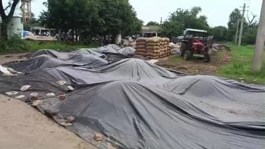 सिकराय: बुधवार को बंद रही बांदीकुई की नई अनाज मंडी, सिकराय और बांदीकुई विधानसभा के किसानों को हुई परेशानी